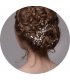 HA055 - Floral Pearl Hair Brooch